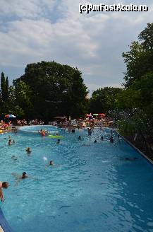 [P11] Nisipurile de Aur, Hotel Excelsior, piscina » foto by unq
 - 
<span class="allrVoted glyphicon glyphicon-heart hidden" id="av497108"></span>
<a class="m-l-10 hidden" id="sv497108" onclick="voting_Foto_DelVot(,497108,650)" role="button">șterge vot <span class="glyphicon glyphicon-remove"></span></a>
<a id="v9497108" class=" c-red"  onclick="voting_Foto_SetVot(497108)" role="button"><span class="glyphicon glyphicon-heart-empty"></span> <b>LIKE</b> = Votează poza</a> <img class="hidden"  id="f497108W9" src="/imagini/loader.gif" border="0" /><span class="AjErrMes hidden" id="e497108ErM"></span>