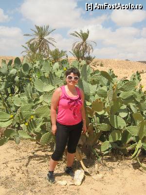 [P26]  -- <small>// FĂRĂ DESCRIERE</small> » foto by feliciarosca
 - 
<span class="allrVoted glyphicon glyphicon-heart hidden" id="av361053"></span>
<a class="m-l-10 hidden" id="sv361053" onclick="voting_Foto_DelVot(,361053,658)" role="button">șterge vot <span class="glyphicon glyphicon-remove"></span></a>
<a id="v9361053" class=" c-red"  onclick="voting_Foto_SetVot(361053)" role="button"><span class="glyphicon glyphicon-heart-empty"></span> <b>LIKE</b> = Votează poza</a> <img class="hidden"  id="f361053W9" src="/imagini/loader.gif" border="0" /><span class="AjErrMes hidden" id="e361053ErM"></span>