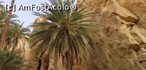 [P12] Cu jeepul prin Sahara – oaza de munte Chebika » foto by nicole33
 - 
<span class="allrVoted glyphicon glyphicon-heart hidden" id="av1165832"></span>
<a class="m-l-10 hidden" id="sv1165832" onclick="voting_Foto_DelVot(,1165832,658)" role="button">șterge vot <span class="glyphicon glyphicon-remove"></span></a>
<a id="v91165832" class=" c-red"  onclick="voting_Foto_SetVot(1165832)" role="button"><span class="glyphicon glyphicon-heart-empty"></span> <b>LIKE</b> = Votează poza</a> <img class="hidden"  id="f1165832W9" src="/imagini/loader.gif" border="0" /><span class="AjErrMes hidden" id="e1165832ErM"></span>