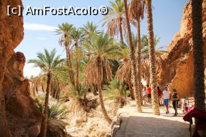 [P12] OAZA CHEBIKA » foto by cami1212
 - 
<span class="allrVoted glyphicon glyphicon-heart hidden" id="av1020320"></span>
<a class="m-l-10 hidden" id="sv1020320" onclick="voting_Foto_DelVot(,1020320,658)" role="button">șterge vot <span class="glyphicon glyphicon-remove"></span></a>
<a id="v91020320" class=" c-red"  onclick="voting_Foto_SetVot(1020320)" role="button"><span class="glyphicon glyphicon-heart-empty"></span> <b>LIKE</b> = Votează poza</a> <img class="hidden"  id="f1020320W9" src="/imagini/loader.gif" border="0" /><span class="AjErrMes hidden" id="e1020320ErM"></span>