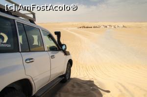 [P16] DUNE RIDING » foto by cami1212
 - 
<span class="allrVoted glyphicon glyphicon-heart hidden" id="av1020324"></span>
<a class="m-l-10 hidden" id="sv1020324" onclick="voting_Foto_DelVot(,1020324,658)" role="button">șterge vot <span class="glyphicon glyphicon-remove"></span></a>
<a id="v91020324" class=" c-red"  onclick="voting_Foto_SetVot(1020324)" role="button"><span class="glyphicon glyphicon-heart-empty"></span> <b>LIKE</b> = Votează poza</a> <img class="hidden"  id="f1020324W9" src="/imagini/loader.gif" border="0" /><span class="AjErrMes hidden" id="e1020324ErM"></span>