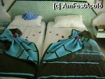 [P01] Patul din camera aranjat cu floricele » foto by hc101*
 - 
<span class="allrVoted glyphicon glyphicon-heart hidden" id="av3135"></span>
<a class="m-l-10 hidden" id="sv3135" onclick="voting_Foto_DelVot(,3135,659)" role="button">șterge vot <span class="glyphicon glyphicon-remove"></span></a>
<a id="v93135" class=" c-red"  onclick="voting_Foto_SetVot(3135)" role="button"><span class="glyphicon glyphicon-heart-empty"></span> <b>LIKE</b> = Votează poza</a> <img class="hidden"  id="f3135W9" src="/imagini/loader.gif" border="0" /><span class="AjErrMes hidden" id="e3135ErM"></span>
