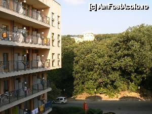 [P01] DE LA BALCON » foto by anadutu
 - 
<span class="allrVoted glyphicon glyphicon-heart hidden" id="av454904"></span>
<a class="m-l-10 hidden" id="sv454904" onclick="voting_Foto_DelVot(,454904,662)" role="button">șterge vot <span class="glyphicon glyphicon-remove"></span></a>
<a id="v9454904" class=" c-red"  onclick="voting_Foto_SetVot(454904)" role="button"><span class="glyphicon glyphicon-heart-empty"></span> <b>LIKE</b> = Votează poza</a> <img class="hidden"  id="f454904W9" src="/imagini/loader.gif" border="0" /><span class="AjErrMes hidden" id="e454904ErM"></span>