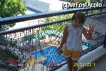 [P01] Vedere din balconul camerei, Hotel Atlas » foto by raducondurache
 - 
<span class="allrVoted glyphicon glyphicon-heart hidden" id="av238432"></span>
<a class="m-l-10 hidden" id="sv238432" onclick="voting_Foto_DelVot(,238432,662)" role="button">șterge vot <span class="glyphicon glyphicon-remove"></span></a>
<a id="v9238432" class=" c-red"  onclick="voting_Foto_SetVot(238432)" role="button"><span class="glyphicon glyphicon-heart-empty"></span> <b>LIKE</b> = Votează poza</a> <img class="hidden"  id="f238432W9" src="/imagini/loader.gif" border="0" /><span class="AjErrMes hidden" id="e238432ErM"></span>
