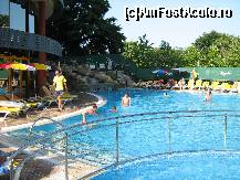 [P01] piscina, care nu era deloc adanca » foto by gabitza47
 - 
<span class="allrVoted glyphicon glyphicon-heart hidden" id="av36295"></span>
<a class="m-l-10 hidden" id="sv36295" onclick="voting_Foto_DelVot(,36295,662)" role="button">șterge vot <span class="glyphicon glyphicon-remove"></span></a>
<a id="v936295" class=" c-red"  onclick="voting_Foto_SetVot(36295)" role="button"><span class="glyphicon glyphicon-heart-empty"></span> <b>LIKE</b> = Votează poza</a> <img class="hidden"  id="f36295W9" src="/imagini/loader.gif" border="0" /><span class="AjErrMes hidden" id="e36295ErM"></span>