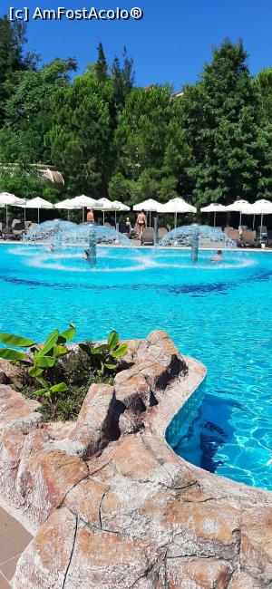 [P53] Piscine ptr cei mici » foto by moraru marian
 - 
<span class="allrVoted glyphicon glyphicon-heart hidden" id="av1311061"></span>
<a class="m-l-10 hidden" id="sv1311061" onclick="voting_Foto_DelVot(,1311061,74)" role="button">șterge vot <span class="glyphicon glyphicon-remove"></span></a>
<a id="v91311061" class=" c-red"  onclick="voting_Foto_SetVot(1311061)" role="button"><span class="glyphicon glyphicon-heart-empty"></span> <b>LIKE</b> = Votează poza</a> <img class="hidden"  id="f1311061W9" src="/imagini/loader.gif" border="0" /><span class="AjErrMes hidden" id="e1311061ErM"></span>