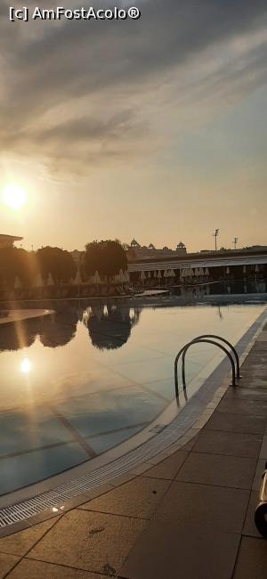 [P60] Luna se răcorește în piscină » foto by moraru marian
 - 
<span class="allrVoted glyphicon glyphicon-heart hidden" id="av1311068"></span>
<a class="m-l-10 hidden" id="sv1311068" onclick="voting_Foto_DelVot(,1311068,74)" role="button">șterge vot <span class="glyphicon glyphicon-remove"></span></a>
<a id="v91311068" class=" c-red"  onclick="voting_Foto_SetVot(1311068)" role="button"><span class="glyphicon glyphicon-heart-empty"></span> <b>LIKE</b> = Votează poza</a> <img class="hidden"  id="f1311068W9" src="/imagini/loader.gif" border="0" /><span class="AjErrMes hidden" id="e1311068ErM"></span>