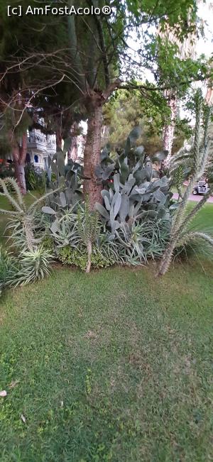 [P26]  -- <small>// FĂRĂ DESCRIERE</small> » foto by moraru marian
 - 
<span class="allrVoted glyphicon glyphicon-heart hidden" id="av1089091"></span>
<a class="m-l-10 hidden" id="sv1089091" onclick="voting_Foto_DelVot(,1089091,74)" role="button">șterge vot <span class="glyphicon glyphicon-remove"></span></a>
<a id="v91089091" class=" c-red"  onclick="voting_Foto_SetVot(1089091)" role="button"><span class="glyphicon glyphicon-heart-empty"></span> <b>LIKE</b> = Votează poza</a> <img class="hidden"  id="f1089091W9" src="/imagini/loader.gif" border="0" /><span class="AjErrMes hidden" id="e1089091ErM"></span>