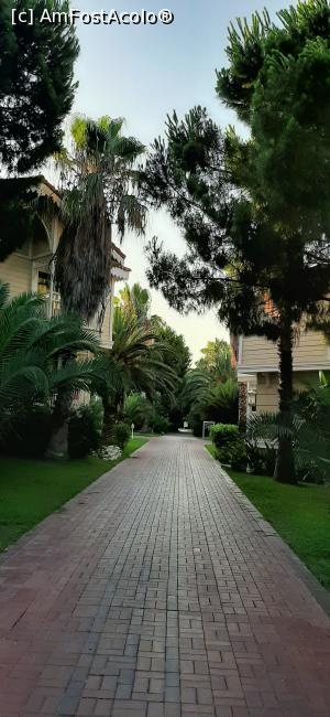 [P28]  -- <small>// FĂRĂ DESCRIERE</small> » foto by moraru marian
 - 
<span class="allrVoted glyphicon glyphicon-heart hidden" id="av1089093"></span>
<a class="m-l-10 hidden" id="sv1089093" onclick="voting_Foto_DelVot(,1089093,74)" role="button">șterge vot <span class="glyphicon glyphicon-remove"></span></a>
<a id="v91089093" class=" c-red"  onclick="voting_Foto_SetVot(1089093)" role="button"><span class="glyphicon glyphicon-heart-empty"></span> <b>LIKE</b> = Votează poza</a> <img class="hidden"  id="f1089093W9" src="/imagini/loader.gif" border="0" /><span class="AjErrMes hidden" id="e1089093ErM"></span>