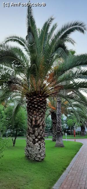 [P32]  -- <small>// FĂRĂ DESCRIERE</small> » foto by moraru marian
 - 
<span class="allrVoted glyphicon glyphicon-heart hidden" id="av1089097"></span>
<a class="m-l-10 hidden" id="sv1089097" onclick="voting_Foto_DelVot(,1089097,74)" role="button">șterge vot <span class="glyphicon glyphicon-remove"></span></a>
<a id="v91089097" class=" c-red"  onclick="voting_Foto_SetVot(1089097)" role="button"><span class="glyphicon glyphicon-heart-empty"></span> <b>LIKE</b> = Votează poza</a> <img class="hidden"  id="f1089097W9" src="/imagini/loader.gif" border="0" /><span class="AjErrMes hidden" id="e1089097ErM"></span>