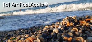 [P04] Scoici pe alese » foto by Rofri
 - 
<span class="allrVoted glyphicon glyphicon-heart hidden" id="av1239087"></span>
<a class="m-l-10 hidden" id="sv1239087" onclick="voting_Foto_DelVot(,1239087,766)" role="button">șterge vot <span class="glyphicon glyphicon-remove"></span></a>
<a id="v91239087" class=" c-red"  onclick="voting_Foto_SetVot(1239087)" role="button"><span class="glyphicon glyphicon-heart-empty"></span> <b>LIKE</b> = Votează poza</a> <img class="hidden"  id="f1239087W9" src="/imagini/loader.gif" border="0" /><span class="AjErrMes hidden" id="e1239087ErM"></span>