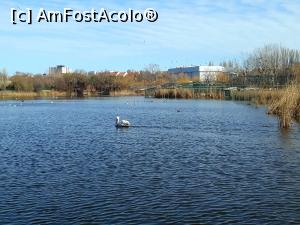 [P16] Hotel Iaki Mamaia.Lacul Tabacariei. » foto by Floria
 - 
<span class="allrVoted glyphicon glyphicon-heart hidden" id="av1163339"></span>
<a class="m-l-10 hidden" id="sv1163339" onclick="voting_Foto_DelVot(,1163339,768)" role="button">șterge vot <span class="glyphicon glyphicon-remove"></span></a>
<a id="v91163339" class=" c-red"  onclick="voting_Foto_SetVot(1163339)" role="button"><span class="glyphicon glyphicon-heart-empty"></span> <b>LIKE</b> = Votează poza</a> <img class="hidden"  id="f1163339W9" src="/imagini/loader.gif" border="0" /><span class="AjErrMes hidden" id="e1163339ErM"></span>