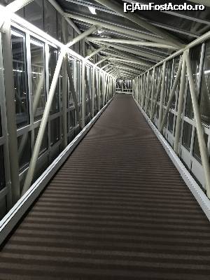 [P19] tunelul catre SPA » foto by Dan&Ema
 - 
<span class="allrVoted glyphicon glyphicon-heart hidden" id="av700012"></span>
<a class="m-l-10 hidden" id="sv700012" onclick="voting_Foto_DelVot(,700012,768)" role="button">șterge vot <span class="glyphicon glyphicon-remove"></span></a>
<a id="v9700012" class=" c-red"  onclick="voting_Foto_SetVot(700012)" role="button"><span class="glyphicon glyphicon-heart-empty"></span> <b>LIKE</b> = Votează poza</a> <img class="hidden"  id="f700012W9" src="/imagini/loader.gif" border="0" /><span class="AjErrMes hidden" id="e700012ErM"></span>