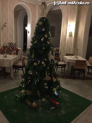 [P21]  -- <small>// FĂRĂ DESCRIERE</small> » foto by Dan&Ema
 - 
<span class="allrVoted glyphicon glyphicon-heart hidden" id="av700014"></span>
<a class="m-l-10 hidden" id="sv700014" onclick="voting_Foto_DelVot(,700014,768)" role="button">șterge vot <span class="glyphicon glyphicon-remove"></span></a>
<a id="v9700014" class=" c-red"  onclick="voting_Foto_SetVot(700014)" role="button"><span class="glyphicon glyphicon-heart-empty"></span> <b>LIKE</b> = Votează poza</a> <img class="hidden"  id="f700014W9" src="/imagini/loader.gif" border="0" /><span class="AjErrMes hidden" id="e700014ErM"></span>