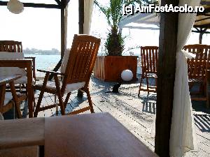 [P11] Una dintre pisicile negre ale restaurantului Florida...  » foto by corneliam
 - 
<span class="allrVoted glyphicon glyphicon-heart hidden" id="av588001"></span>
<a class="m-l-10 hidden" id="sv588001" onclick="voting_Foto_DelVot(,588001,773)" role="button">șterge vot <span class="glyphicon glyphicon-remove"></span></a>
<a id="v9588001" class=" c-red"  onclick="voting_Foto_SetVot(588001)" role="button"><span class="glyphicon glyphicon-heart-empty"></span> <b>LIKE</b> = Votează poza</a> <img class="hidden"  id="f588001W9" src="/imagini/loader.gif" border="0" /><span class="AjErrMes hidden" id="e588001ErM"></span>