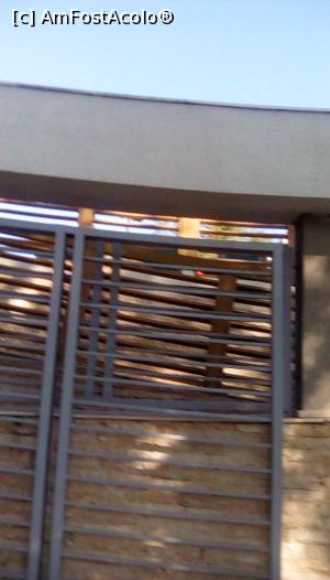 [P20] grilajul de la piscina » foto by papalito
 - 
<span class="allrVoted glyphicon glyphicon-heart hidden" id="av896839"></span>
<a class="m-l-10 hidden" id="sv896839" onclick="voting_Foto_DelVot(,896839,790)" role="button">șterge vot <span class="glyphicon glyphicon-remove"></span></a>
<a id="v9896839" class=" c-red"  onclick="voting_Foto_SetVot(896839)" role="button"><span class="glyphicon glyphicon-heart-empty"></span> <b>LIKE</b> = Votează poza</a> <img class="hidden"  id="f896839W9" src="/imagini/loader.gif" border="0" /><span class="AjErrMes hidden" id="e896839ErM"></span>