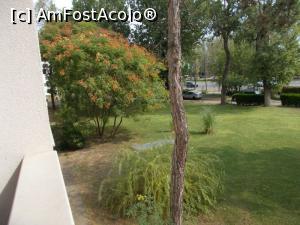 [P23] Vedere din balcon la stânga » foto by Zoazore
 - 
<span class="allrVoted glyphicon glyphicon-heart hidden" id="av1387592"></span>
<a class="m-l-10 hidden" id="sv1387592" onclick="voting_Foto_DelVot(,1387592,793)" role="button">șterge vot <span class="glyphicon glyphicon-remove"></span></a>
<a id="v91387592" class=" c-red"  onclick="voting_Foto_SetVot(1387592)" role="button"><span class="glyphicon glyphicon-heart-empty"></span> <b>LIKE</b> = Votează poza</a> <img class="hidden"  id="f1387592W9" src="/imagini/loader.gif" border="0" /><span class="AjErrMes hidden" id="e1387592ErM"></span>