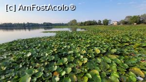 [P01] Lacul din Neptun » foto by vlado2
 - 
<span class="allrVoted glyphicon glyphicon-heart hidden" id="av1521217"></span>
<a class="m-l-10 hidden" id="sv1521217" onclick="voting_Foto_DelVot(,1521217,822)" role="button">șterge vot <span class="glyphicon glyphicon-remove"></span></a>
<a id="v91521217" class=" c-red"  onclick="voting_Foto_SetVot(1521217)" role="button"><span class="glyphicon glyphicon-heart-empty"></span> <b>LIKE</b> = Votează poza</a> <img class="hidden"  id="f1521217W9" src="/imagini/loader.gif" border="0" /><span class="AjErrMes hidden" id="e1521217ErM"></span>