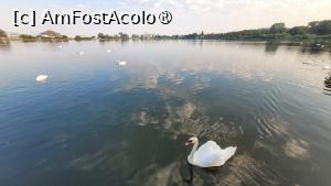 [P03] Lacul din Neptun » foto by vlado2
 - 
<span class="allrVoted glyphicon glyphicon-heart hidden" id="av1521219"></span>
<a class="m-l-10 hidden" id="sv1521219" onclick="voting_Foto_DelVot(,1521219,822)" role="button">șterge vot <span class="glyphicon glyphicon-remove"></span></a>
<a id="v91521219" class=" c-red"  onclick="voting_Foto_SetVot(1521219)" role="button"><span class="glyphicon glyphicon-heart-empty"></span> <b>LIKE</b> = Votează poza</a> <img class="hidden"  id="f1521219W9" src="/imagini/loader.gif" border="0" /><span class="AjErrMes hidden" id="e1521219ErM"></span>