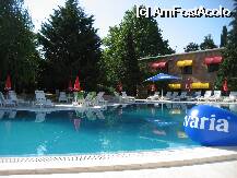 [P02] piscina - copacii fac parte din superba minigradina botanica; in fundal se vede o parte din hotel » foto by zoloft
 - 
<span class="allrVoted glyphicon glyphicon-heart hidden" id="av4095"></span>
<a class="m-l-10 hidden" id="sv4095" onclick="voting_Foto_DelVot(,4095,835)" role="button">șterge vot <span class="glyphicon glyphicon-remove"></span></a>
<a id="v94095" class=" c-red"  onclick="voting_Foto_SetVot(4095)" role="button"><span class="glyphicon glyphicon-heart-empty"></span> <b>LIKE</b> = Votează poza</a> <img class="hidden"  id="f4095W9" src="/imagini/loader.gif" border="0" /><span class="AjErrMes hidden" id="e4095ErM"></span>