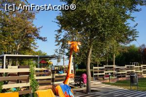 [P13] Intrarea la locul de joaca exterior (exista si club/loc de joaca in interior)  » foto by ado_lex
 - 
<span class="allrVoted glyphicon glyphicon-heart hidden" id="av812109"></span>
<a class="m-l-10 hidden" id="sv812109" onclick="voting_Foto_DelVot(,812109,846)" role="button">șterge vot <span class="glyphicon glyphicon-remove"></span></a>
<a id="v9812109" class=" c-red"  onclick="voting_Foto_SetVot(812109)" role="button"><span class="glyphicon glyphicon-heart-empty"></span> <b>LIKE</b> = Votează poza</a> <img class="hidden"  id="f812109W9" src="/imagini/loader.gif" border="0" /><span class="AjErrMes hidden" id="e812109ErM"></span>