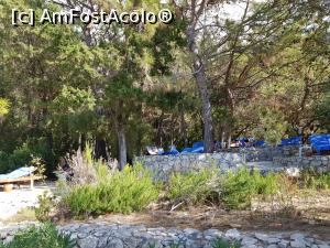 [P61] Liberty Lykia Oludeniz - şezlonguri la umbra copacilor pe plaja pentru adulţi » foto by nicole33
 - 
<span class="allrVoted glyphicon glyphicon-heart hidden" id="av1206612"></span>
<a class="m-l-10 hidden" id="sv1206612" onclick="voting_Foto_DelVot(,1206612,88)" role="button">șterge vot <span class="glyphicon glyphicon-remove"></span></a>
<a id="v91206612" class=" c-red"  onclick="voting_Foto_SetVot(1206612)" role="button"><span class="glyphicon glyphicon-heart-empty"></span> <b>LIKE</b> = Votează poza</a> <img class="hidden"  id="f1206612W9" src="/imagini/loader.gif" border="0" /><span class="AjErrMes hidden" id="e1206612ErM"></span>