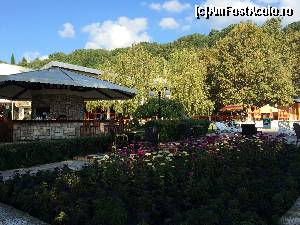 [P31] Hotel Kaliakra Superior-Barul de la piscina intr-o 'mare' de flori.  » foto by Floria
 - 
<span class="allrVoted glyphicon glyphicon-heart hidden" id="av571575"></span>
<a class="m-l-10 hidden" id="sv571575" onclick="voting_Foto_DelVot(,571575,920)" role="button">șterge vot <span class="glyphicon glyphicon-remove"></span></a>
<a id="v9571575" class=" c-red"  onclick="voting_Foto_SetVot(571575)" role="button"><span class="glyphicon glyphicon-heart-empty"></span> <b>LIKE</b> = Votează poza</a> <img class="hidden"  id="f571575W9" src="/imagini/loader.gif" border="0" /><span class="AjErrMes hidden" id="e571575ErM"></span>