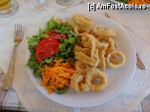 [P05] O portie de Fried Calamari din restaurantul piscinei hotelului Akrotiri (only 7 euro)... offffffffff ce mai salivez...  » foto by alex7905
 - 
<span class="allrVoted glyphicon glyphicon-heart hidden" id="av353633"></span>
<a class="m-l-10 hidden" id="sv353633" onclick="voting_Foto_DelVot(,353633,929)" role="button">șterge vot <span class="glyphicon glyphicon-remove"></span></a>
<a id="v9353633" class=" c-red"  onclick="voting_Foto_SetVot(353633)" role="button"><span class="glyphicon glyphicon-heart-empty"></span> <b>LIKE</b> = Votează poza</a> <img class="hidden"  id="f353633W9" src="/imagini/loader.gif" border="0" /><span class="AjErrMes hidden" id="e353633ErM"></span>