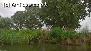 [P10] Vegetatie de apa » foto by Constantin H
 - 
<span class="allrVoted glyphicon glyphicon-heart hidden" id="av1046381"></span>
<a class="m-l-10 hidden" id="sv1046381" onclick="voting_Foto_DelVot(,1046381,952)" role="button">șterge vot <span class="glyphicon glyphicon-remove"></span></a>
<a id="v91046381" class=" c-red"  onclick="voting_Foto_SetVot(1046381)" role="button"><span class="glyphicon glyphicon-heart-empty"></span> <b>LIKE</b> = Votează poza</a> <img class="hidden"  id="f1046381W9" src="/imagini/loader.gif" border="0" /><span class="AjErrMes hidden" id="e1046381ErM"></span>