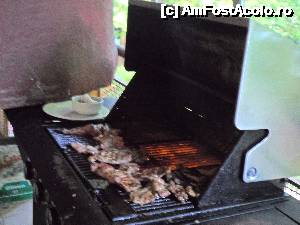 [P11]  -- <small>// FĂRĂ DESCRIERE</small> » foto by sniga
 - 
<span class="allrVoted glyphicon glyphicon-heart hidden" id="av635889"></span>
<a class="m-l-10 hidden" id="sv635889" onclick="voting_Foto_DelVot(,635889,976)" role="button">șterge vot <span class="glyphicon glyphicon-remove"></span></a>
<a id="v9635889" class=" c-red"  onclick="voting_Foto_SetVot(635889)" role="button"><span class="glyphicon glyphicon-heart-empty"></span> <b>LIKE</b> = Votează poza</a> <img class="hidden"  id="f635889W9" src="/imagini/loader.gif" border="0" /><span class="AjErrMes hidden" id="e635889ErM"></span>