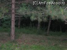 [P03]  -- <small>// FĂRĂ DESCRIERE</small> » foto by Antoniaa
 - 
<span class="allrVoted glyphicon glyphicon-heart hidden" id="av103078"></span>
<a class="m-l-10 hidden" id="sv103078" onclick="voting_Foto_DelVot(,103078,979)" role="button">șterge vot <span class="glyphicon glyphicon-remove"></span></a>
<a id="v9103078" class=" c-red"  onclick="voting_Foto_SetVot(103078)" role="button"><span class="glyphicon glyphicon-heart-empty"></span> <b>LIKE</b> = Votează poza</a> <img class="hidden"  id="f103078W9" src="/imagini/loader.gif" border="0" /><span class="AjErrMes hidden" id="e103078ErM"></span>