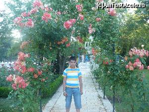 [P21] Parcul cu flori dintre hotel si plaja » foto by Denis70
 - 
<span class="allrVoted glyphicon glyphicon-heart hidden" id="av541805"></span>
<a class="m-l-10 hidden" id="sv541805" onclick="voting_Foto_DelVot(,541805,979)" role="button">șterge vot <span class="glyphicon glyphicon-remove"></span></a>
<a id="v9541805" class=" c-red"  onclick="voting_Foto_SetVot(541805)" role="button"><span class="glyphicon glyphicon-heart-empty"></span> <b>LIKE</b> = Votează poza</a> <img class="hidden"  id="f541805W9" src="/imagini/loader.gif" border="0" /><span class="AjErrMes hidden" id="e541805ErM"></span>