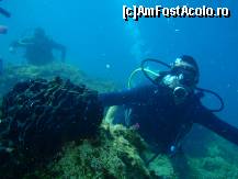 [P35] Scuba Diving » foto by bobo2005
 - 
<span class="allrVoted glyphicon glyphicon-heart hidden" id="av134943"></span>
<a class="m-l-10 hidden" id="sv134943" onclick="voting_Foto_DelVot(,134943,993)" role="button">șterge vot <span class="glyphicon glyphicon-remove"></span></a>
<a id="v9134943" class=" c-red"  onclick="voting_Foto_SetVot(134943)" role="button"><span class="glyphicon glyphicon-heart-empty"></span> <b>LIKE</b> = Votează poza</a> <img class="hidden"  id="f134943W9" src="/imagini/loader.gif" border="0" /><span class="AjErrMes hidden" id="e134943ErM"></span>