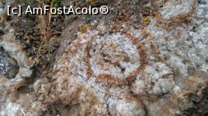 [P10] Cristale de calcit pe stanci (a fost o floare de aragonit pe care a cules-o cineva)  » foto by Enki
 - 
<span class="allrVoted glyphicon glyphicon-heart hidden" id="av1112335"></span>
<a class="m-l-10 hidden" id="sv1112335" onclick="voting_Foto_DelVot(,1112335,993)" role="button">șterge vot <span class="glyphicon glyphicon-remove"></span></a>
<a id="v91112335" class=" c-red"  onclick="voting_Foto_SetVot(1112335)" role="button"><span class="glyphicon glyphicon-heart-empty"></span> <b>LIKE</b> = Votează poza</a> <img class="hidden"  id="f1112335W9" src="/imagini/loader.gif" border="0" /><span class="AjErrMes hidden" id="e1112335ErM"></span>