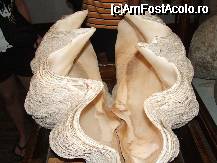 [P29] scoica aflata in muzeul manastirii Paleokastritsa » foto by danoradea
 - 
<span class="allrVoted glyphicon glyphicon-heart hidden" id="av26319"></span>
<a class="m-l-10 hidden" id="sv26319" onclick="voting_Foto_DelVot(,26319,993)" role="button">șterge vot <span class="glyphicon glyphicon-remove"></span></a>
<a id="v926319" class=" c-red"  onclick="voting_Foto_SetVot(26319)" role="button"><span class="glyphicon glyphicon-heart-empty"></span> <b>LIKE</b> = Votează poza</a> <img class="hidden"  id="f26319W9" src="/imagini/loader.gif" border="0" /><span class="AjErrMes hidden" id="e26319ErM"></span>
