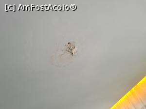 [P01] Mucegaiul din camera » foto by crdkrp
 - 
<span class="allrVoted glyphicon glyphicon-heart hidden" id="av1320118"></span>
<a class="m-l-10 hidden" id="sv1320118" onclick="voting_Foto_DelVot(,1320118,1003)" role="button">șterge vot <span class="glyphicon glyphicon-remove"></span></a>
<a id="v91320118" class=" c-red"  onclick="voting_Foto_SetVot(1320118)" role="button"><span class="glyphicon glyphicon-heart-empty"></span> <b>LIKE</b> = Votează poza</a> <img class="hidden"  id="f1320118W9" src="/imagini/loader.gif" border="0" /><span class="AjErrMes hidden" id="e1320118ErM"></span>