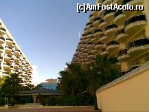 [P29] Peniscola Plaza Suites - curtea interioară și grădina » foto by nicole33
 - 
<span class="allrVoted glyphicon glyphicon-heart hidden" id="av409504"></span>
<a class="m-l-10 hidden" id="sv409504" onclick="voting_Foto_DelVot(,409504,1052)" role="button">șterge vot <span class="glyphicon glyphicon-remove"></span></a>
<a id="v9409504" class=" c-red"  onclick="voting_Foto_SetVot(409504)" role="button"><span class="glyphicon glyphicon-heart-empty"></span> <b>LIKE</b> = Votează poza</a> <img class="hidden"  id="f409504W9" src="/imagini/loader.gif" border="0" /><span class="AjErrMes hidden" id="e409504ErM"></span>