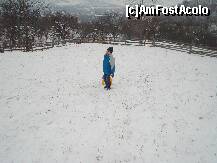 [P02]  -- <small>// FĂRĂ DESCRIERE</small> » foto by Camelian
 - 
<span class="allrVoted glyphicon glyphicon-heart hidden" id="av285860"></span>
<a class="m-l-10 hidden" id="sv285860" onclick="voting_Foto_DelVot(,285860,1079)" role="button">șterge vot <span class="glyphicon glyphicon-remove"></span></a>
<a id="v9285860" class=" c-red"  onclick="voting_Foto_SetVot(285860)" role="button"><span class="glyphicon glyphicon-heart-empty"></span> <b>LIKE</b> = Votează poza</a> <img class="hidden"  id="f285860W9" src="/imagini/loader.gif" border="0" /><span class="AjErrMes hidden" id="e285860ErM"></span>