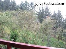 [P09] panorama de pe terasa, simtiti aerul curat... » foto by amalyca
 - 
<span class="allrVoted glyphicon glyphicon-heart hidden" id="av138083"></span>
<a class="m-l-10 hidden" id="sv138083" onclick="voting_Foto_DelVot(,138083,1079)" role="button">șterge vot <span class="glyphicon glyphicon-remove"></span></a>
<a id="v9138083" class=" c-red"  onclick="voting_Foto_SetVot(138083)" role="button"><span class="glyphicon glyphicon-heart-empty"></span> <b>LIKE</b> = Votează poza</a> <img class="hidden"  id="f138083W9" src="/imagini/loader.gif" border="0" /><span class="AjErrMes hidden" id="e138083ErM"></span>