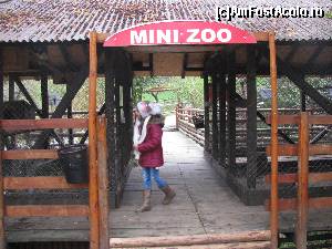 [P35] la Mini Zoo » foto by bullterier
 - 
<span class="allrVoted glyphicon glyphicon-heart hidden" id="av572014"></span>
<a class="m-l-10 hidden" id="sv572014" onclick="voting_Foto_DelVot(,572014,1079)" role="button">șterge vot <span class="glyphicon glyphicon-remove"></span></a>
<a id="v9572014" class=" c-red"  onclick="voting_Foto_SetVot(572014)" role="button"><span class="glyphicon glyphicon-heart-empty"></span> <b>LIKE</b> = Votează poza</a> <img class="hidden"  id="f572014W9" src="/imagini/loader.gif" border="0" /><span class="AjErrMes hidden" id="e572014ErM"></span>