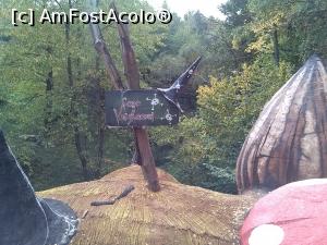 [P02] Acoperisul casei vrajitoarei vazut de pe podul de peste rapa » foto by dianamea
 - 
<span class="allrVoted glyphicon glyphicon-heart hidden" id="av799478"></span>
<a class="m-l-10 hidden" id="sv799478" onclick="voting_Foto_DelVot(,799478,1079)" role="button">șterge vot <span class="glyphicon glyphicon-remove"></span></a>
<a id="v9799478" class=" c-red"  onclick="voting_Foto_SetVot(799478)" role="button"><span class="glyphicon glyphicon-heart-empty"></span> <b>LIKE</b> = Votează poza</a> <img class="hidden"  id="f799478W9" src="/imagini/loader.gif" border="0" /><span class="AjErrMes hidden" id="e799478ErM"></span>