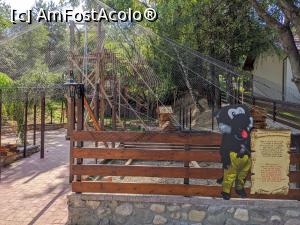 [P06] Mini-zoo in renovare » foto by benea
 - 
<span class="allrVoted glyphicon glyphicon-heart hidden" id="av1254595"></span>
<a class="m-l-10 hidden" id="sv1254595" onclick="voting_Foto_DelVot(,1254595,1079)" role="button">șterge vot <span class="glyphicon glyphicon-remove"></span></a>
<a id="v91254595" class=" c-red"  onclick="voting_Foto_SetVot(1254595)" role="button"><span class="glyphicon glyphicon-heart-empty"></span> <b>LIKE</b> = Votează poza</a> <img class="hidden"  id="f1254595W9" src="/imagini/loader.gif" border="0" /><span class="AjErrMes hidden" id="e1254595ErM"></span>