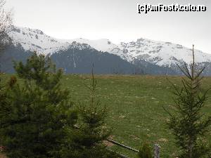 [P03] Ca în Alpi ... » foto by Dr.Pădurean D.
 - 
<span class="allrVoted glyphicon glyphicon-heart hidden" id="av611745"></span>
<a class="m-l-10 hidden" id="sv611745" onclick="voting_Foto_DelVot(,611745,1079)" role="button">șterge vot <span class="glyphicon glyphicon-remove"></span></a>
<a id="v9611745" class=" c-red"  onclick="voting_Foto_SetVot(611745)" role="button"><span class="glyphicon glyphicon-heart-empty"></span> <b>LIKE</b> = Votează poza</a> <img class="hidden"  id="f611745W9" src="/imagini/loader.gif" border="0" /><span class="AjErrMes hidden" id="e611745ErM"></span>