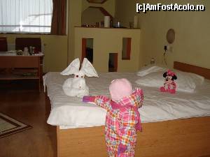 [P14] camera noastra » foto by NED81
 - 
<span class="allrVoted glyphicon glyphicon-heart hidden" id="av641495"></span>
<a class="m-l-10 hidden" id="sv641495" onclick="voting_Foto_DelVot(,641495,1079)" role="button">șterge vot <span class="glyphicon glyphicon-remove"></span></a>
<a id="v9641495" class=" c-red"  onclick="voting_Foto_SetVot(641495)" role="button"><span class="glyphicon glyphicon-heart-empty"></span> <b>LIKE</b> = Votează poza</a> <img class="hidden"  id="f641495W9" src="/imagini/loader.gif" border="0" /><span class="AjErrMes hidden" id="e641495ErM"></span>