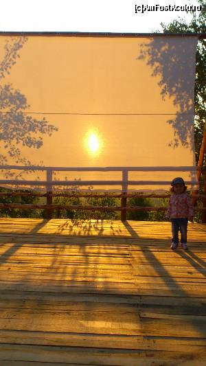 [P05] amfiteatru » foto by NED81
 - 
<span class="allrVoted glyphicon glyphicon-heart hidden" id="av641486"></span>
<a class="m-l-10 hidden" id="sv641486" onclick="voting_Foto_DelVot(,641486,1079)" role="button">șterge vot <span class="glyphicon glyphicon-remove"></span></a>
<a id="v9641486" class=" c-red"  onclick="voting_Foto_SetVot(641486)" role="button"><span class="glyphicon glyphicon-heart-empty"></span> <b>LIKE</b> = Votează poza</a> <img class="hidden"  id="f641486W9" src="/imagini/loader.gif" border="0" /><span class="AjErrMes hidden" id="e641486ErM"></span>