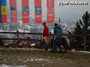 [P08] plimbare cu poneiul » foto by NED81
 - 
<span class="allrVoted glyphicon glyphicon-heart hidden" id="av641489"></span>
<a class="m-l-10 hidden" id="sv641489" onclick="voting_Foto_DelVot(,641489,1079)" role="button">șterge vot <span class="glyphicon glyphicon-remove"></span></a>
<a id="v9641489" class=" c-red"  onclick="voting_Foto_SetVot(641489)" role="button"><span class="glyphicon glyphicon-heart-empty"></span> <b>LIKE</b> = Votează poza</a> <img class="hidden"  id="f641489W9" src="/imagini/loader.gif" border="0" /><span class="AjErrMes hidden" id="e641489ErM"></span>