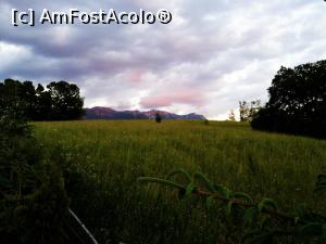 [P27]  -- <small>// FĂRĂ DESCRIERE</small> » foto by Silvia30*
 - 
<span class="allrVoted glyphicon glyphicon-heart hidden" id="av727256"></span>
<a class="m-l-10 hidden" id="sv727256" onclick="voting_Foto_DelVot(,727256,1079)" role="button">șterge vot <span class="glyphicon glyphicon-remove"></span></a>
<a id="v9727256" class=" c-red"  onclick="voting_Foto_SetVot(727256)" role="button"><span class="glyphicon glyphicon-heart-empty"></span> <b>LIKE</b> = Votează poza</a> <img class="hidden"  id="f727256W9" src="/imagini/loader.gif" border="0" /><span class="AjErrMes hidden" id="e727256ErM"></span>