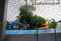 [P04] Aquaticum » foto by elena_iasi
 - 
<span class="allrVoted glyphicon glyphicon-heart hidden" id="av311729"></span>
<a class="m-l-10 hidden" id="sv311729" onclick="voting_Foto_DelVot(,311729,1086)" role="button">șterge vot <span class="glyphicon glyphicon-remove"></span></a>
<a id="v9311729" class=" c-red"  onclick="voting_Foto_SetVot(311729)" role="button"><span class="glyphicon glyphicon-heart-empty"></span> <b>LIKE</b> = Votează poza</a> <img class="hidden"  id="f311729W9" src="/imagini/loader.gif" border="0" /><span class="AjErrMes hidden" id="e311729ErM"></span>