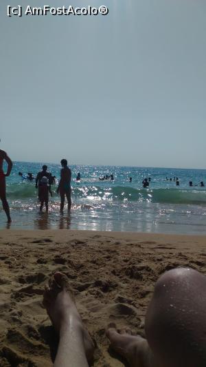 [P05] Plaja » foto by flavius7676
 - 
<span class="allrVoted glyphicon glyphicon-heart hidden" id="av773934"></span>
<a class="m-l-10 hidden" id="sv773934" onclick="voting_Foto_DelVot(,773934,1091)" role="button">șterge vot <span class="glyphicon glyphicon-remove"></span></a>
<a id="v9773934" class=" c-red"  onclick="voting_Foto_SetVot(773934)" role="button"><span class="glyphicon glyphicon-heart-empty"></span> <b>LIKE</b> = Votează poza</a> <img class="hidden"  id="f773934W9" src="/imagini/loader.gif" border="0" /><span class="AjErrMes hidden" id="e773934ErM"></span>