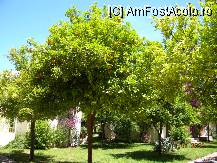 [P01] gradina » foto by bitnic
 - 
<span class="allrVoted glyphicon glyphicon-heart hidden" id="av9870"></span>
<a class="m-l-10 hidden" id="sv9870" onclick="voting_Foto_DelVot(,9870,1101)" role="button">șterge vot <span class="glyphicon glyphicon-remove"></span></a>
<a id="v99870" class=" c-red"  onclick="voting_Foto_SetVot(9870)" role="button"><span class="glyphicon glyphicon-heart-empty"></span> <b>LIKE</b> = Votează poza</a> <img class="hidden"  id="f9870W9" src="/imagini/loader.gif" border="0" /><span class="AjErrMes hidden" id="e9870ErM"></span>